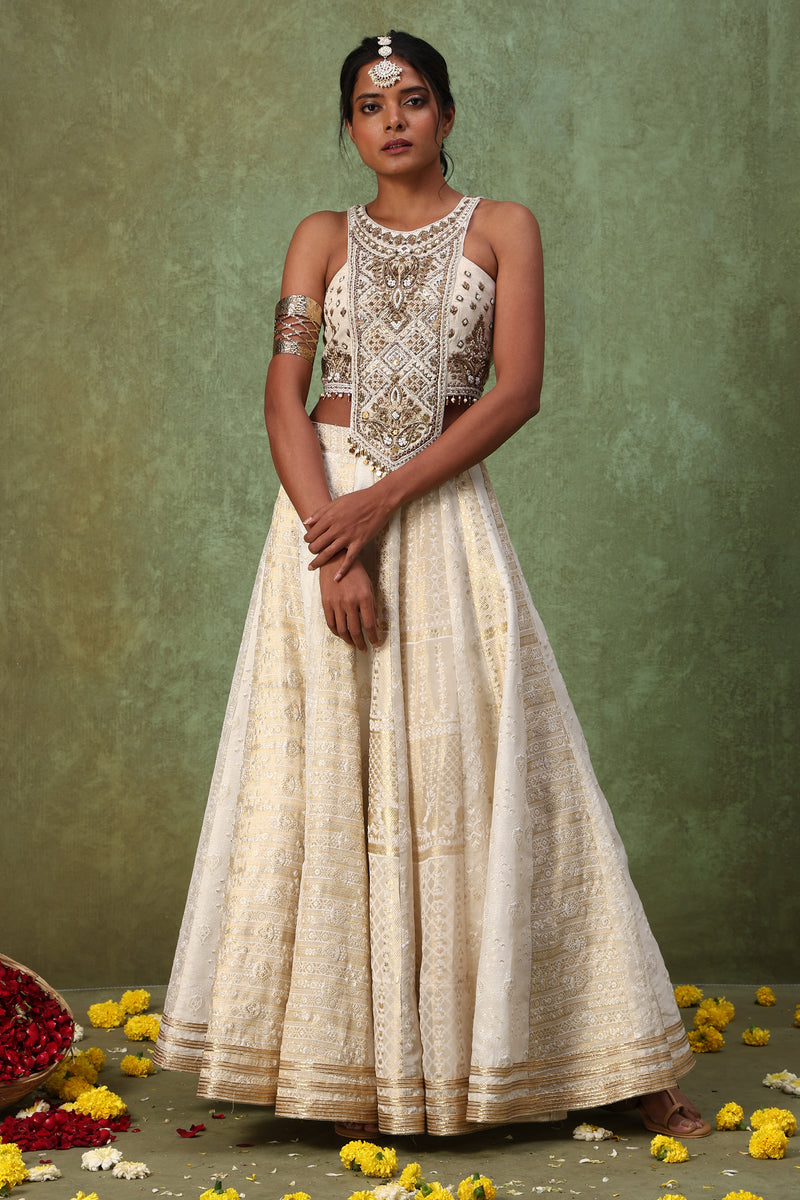 The 'Arav' Lehenga Set