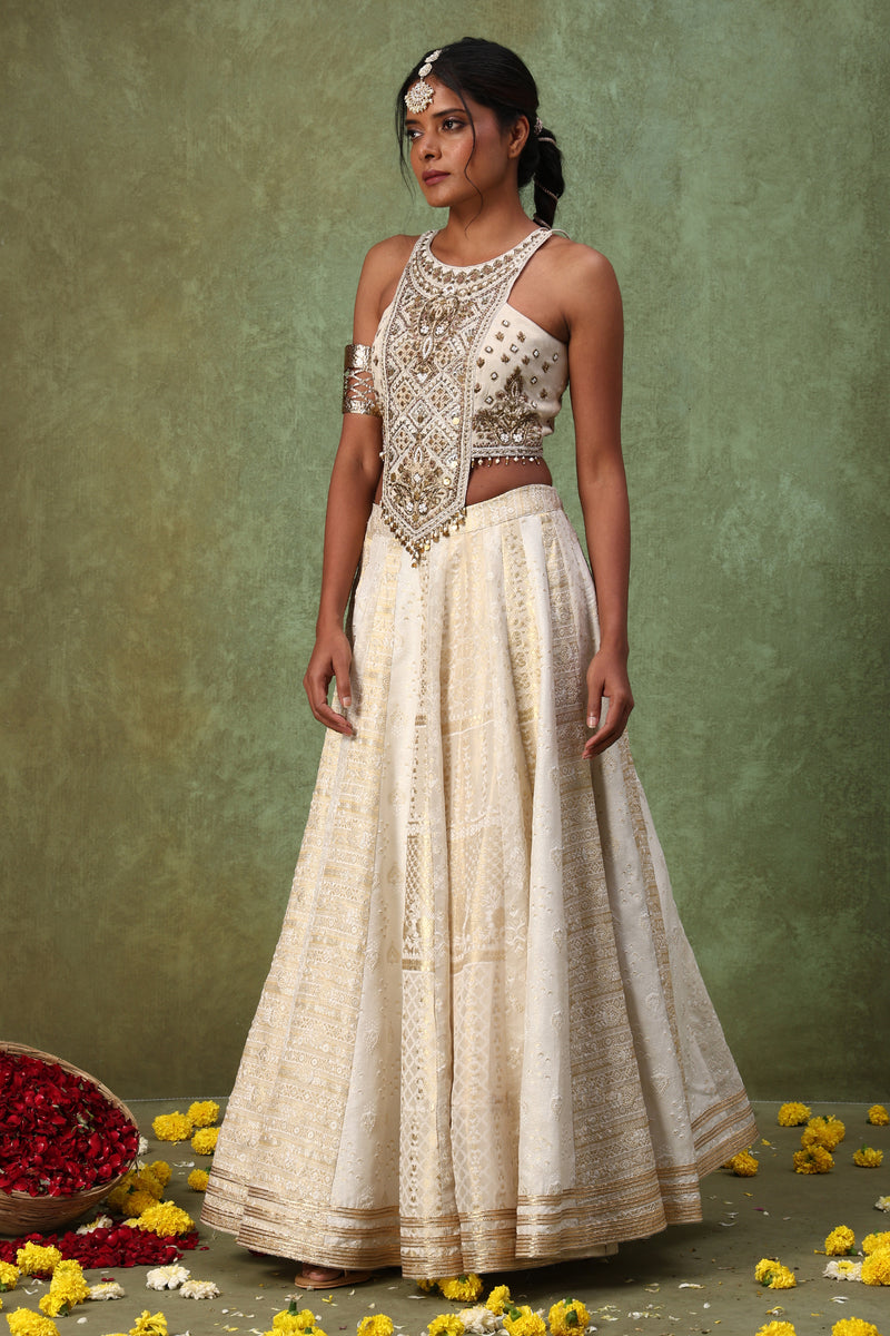 The 'Arav' Lehenga Set